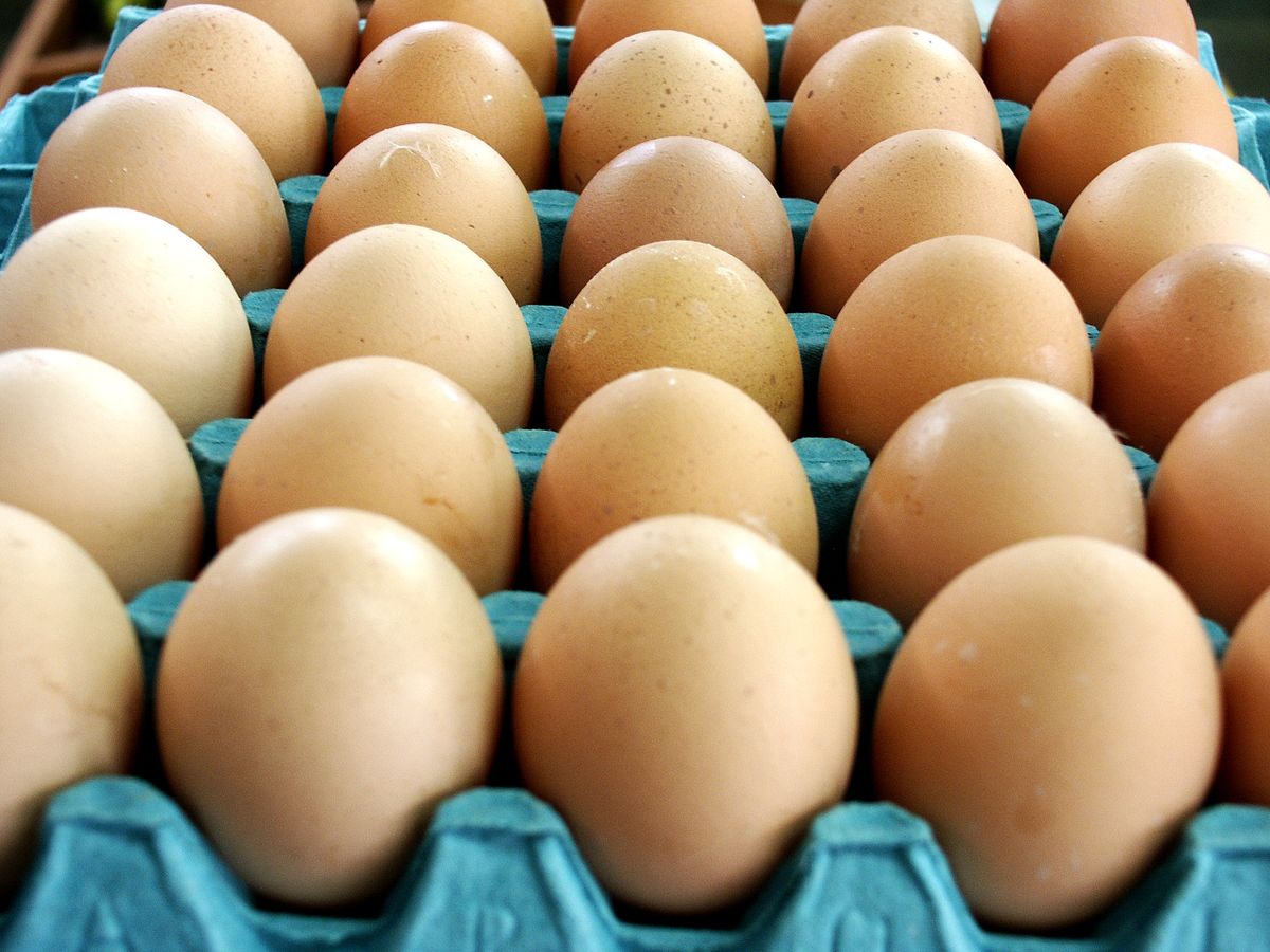 Fresh brown eggs in a carton - protein from food, not a shaker
